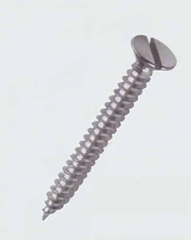 CSK Slotted Screw