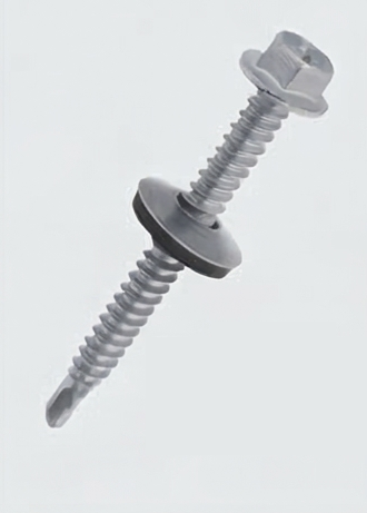 Washer Screw